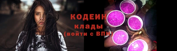 сатива Верея