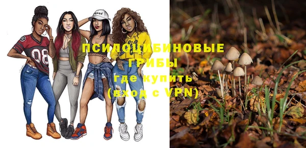 дмт Верхний Тагил