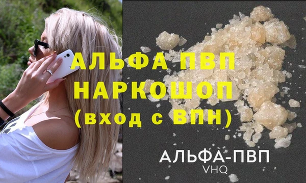 сатива Верея