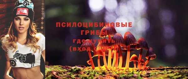 сатива Верея